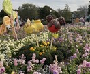 ディズニーリゾート全般のご相談受付ます ディズニーリゾートで楽しい1日を過ごすためにご相談ください！ イメージ2