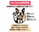 5000円からYouTube動画編集いたします 【ご希望のテーマ】詳細までご要望にお答えいたします！ イメージ1