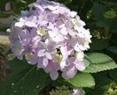 お話相手になります 妊娠中や産後外になかなか出られない方向けです★ イメージ1