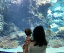即日可！沖縄旅行計画・徹底的にサポートします 現役グランドスタッフ | 年間100日間旅する家族！ イメージ5