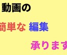 簡単な動画の編集承ります 簡単な編集で人にはお願いしづらい!なんて人もお気軽にどうぞ! イメージ1