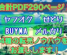 初心者OK！4種類の転売マニュアルを提供します 脱サラしたい方、スキマ時間にネット転売で稼ぎたい方へ イメージ1