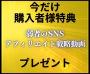 再販・丸パクリ可！強者の情報商材400点販売します アフィリエイト・SEO・SNS・FX等の在宅究極マニュアル イメージ9