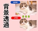最短即日納品、画像の背景透過PNG納品します 1枚〜10枚まで1,000円〜対応します！ イメージ2