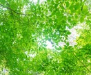 口ベタな母が悩める女性を褒めます 疲れ気味の女性の方、あなたを肯定し褒めさせてください。 イメージ1