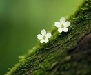 数秘術⭐︎あなたの魂の性格をお伝えいたします 自分を知り、内なる力を取り戻しましょう イメージ3