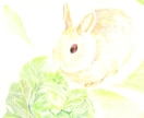 可愛いウサギちゃんの絵を描きます ペットの似顔絵・肖像画オーダー『まなペットアート』横浜・東京 イメージ6