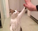 迷ってる貴方！代わりにズバッと決めます 別れるor別れない？転職or残る？選択に迷っている貴方へ！ イメージ1