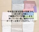 オリジナルキャラクターのぬいぐるみを作成します あなたもぬい活 始めてみませんか？ イメージ3