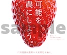 魅力を伝える広告ポスターをデザインします 魅力を分かりやすくポスター1枚に イメージ3