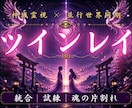 こんなに愛しているのになぜ統合できないのか視ます 魂が封じていた記憶を読み、今世で再会した理由をお伝えします イメージ1