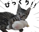 ペット写真からLINEスタンプ16個セット作ります ☆大切なペットをオリジナルLINEスタンプに イメージ9