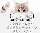 チャット鑑定30分★才能、仕事、人間関係占います 仕事、お金、人間関係。。モヤモヤする日々から卒業しませんか？ イメージ2