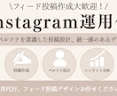 Instagram運用を丁寧にサポートいたします Instagram運用代行でアカウントの発信をお手伝い イメージ1