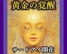 サードアイを開きあなたの使命、才能を開花させます 直観力を上げる！サイキック能力を上げ、第六感を活性化させます イメージ1