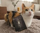 12枚｜この片思いの進展と可能性を視ます この恋に可能性はあるのか本音から読み解きます イメージ5