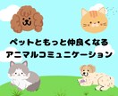 真心込めたアニマルコミュニケーションします 犬、猫、小動物でも受付中です♡ イメージ1