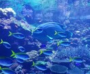 疲れたあなたを少しでも癒せたらいいなと思います ポジティブ思考、おっとり癒し系、アニメ声 イメージ3