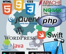Webシステムの作成・カスタマイズを承ります SEOにも強いシステムを構築！（検索ランク1位の実績） イメージ1