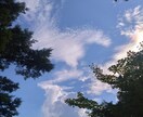 恋愛、仕事、子育てetc..霊視、カードで占います あなたの悩みをを明るく導きます。不安を煽る鑑定はしません。 イメージ2