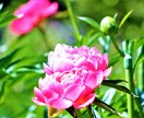 あなただけのお気に入りの１枚を提供します あなただけのオリジナルがあります。 イメージ4