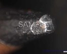 拡大鏡での撮影画像の販売します 拡大鏡を使用した撮影・測定jpgデータ納品 イメージ1