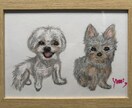 うちの子、お空ぐみの子、を可愛く描きます 可愛くフリーハンド、色鉛筆等でポストサイズからA4判サイズ イメージ5