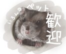 種類不問！ペットのリアルなイラストお描きします アイコン、グッズ作成など個人の範囲で自由にご使用いただけます イメージ1