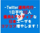 ツイッターの優良な日本ユーザーをコツコツ増やします 手作業で代行！毎日約10人のリアルユーザをフォロワー化。 イメージ1