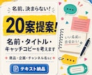 名前・タイトル・キャッチコピーを20案考えます たくさん考えて、いい言葉だけを厳選して提案します イメージ1