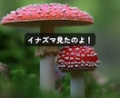 くだらない話・どうでもいい話を喜んで聞きます オチも結論もいりません♪ただ話したい時に イメージ6