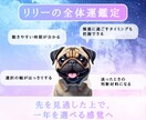 2026年全体運の流れを丁寧に読み解きます 全体運の流れを占いで丁寧に言語化します イメージ3
