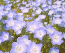 ねぇ聞いてぇ、繋がりたい、色々聞きます 職場の愚痴、周りに話せなくて1人で抱え込んでいる方☆ イメージ3