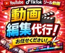 素材30分まで¥3,000！動画編集承ります カット編集からバラエティ番組のようなテロップ挿入も可能です イメージ1