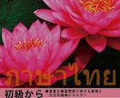 初心者でも安心！タイ語をわかりやすく丁寧に教えます 初心者〜タイ検準2級レベルまで！実践的なタイ語レッスン60分 イメージ4