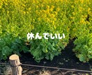 1分からOK！メンタル疾患当事者が相談に乗ります 気分変調症の私があなたに寄り添います。 イメージ5