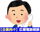 会社の広報上の悩み、電話で相談お受けします プレスリリース・メディア露出・発信戦略など広報の悩みに対応 イメージ1