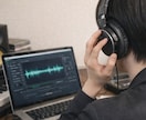 プロがあなたの話し方と声をしっかり分析・診断します 具体的なアドバイス付き診断表をPDFでお渡し！質問もできます イメージ6