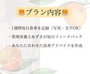 モニター募集！管理栄養士が1週間の食事添削します 1週間の食事を丁寧に分析＆改善提案します イメージ2