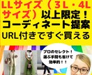 LLサイズ以上の方◆似合うファッション提案します ファッションを諦めたくない貴方へ！着痩せと垢抜けが叶います イメージ2