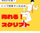 売れる営業トークスクリプトを提供します NOが９割、トップ営業マンのスキル仕込みのコンサルタント イメージ1