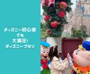 あなただけのディズニープラン相談乗ります あなただけのオリジナルプラン一緒に作成します！ イメージ1