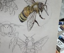 色鉛筆で写真から温かみのある似顔絵を描きます 恐竜も昆虫もペットも動物もOK！ イメージ4