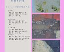 油絵のクリーニング承ります 油絵専門のプロに お任せ下さい。F-0号～F-4号(SM) イメージ3