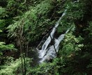 お二人の相性をチャネリングによってお調べします ハイヤーセルフに接続し、お二人の可能性を明らかにいたします イメージ9