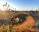 普段撮れないような景色写真を提供します 全てiPhoneで撮らせて頂いています。 イメージ10