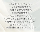 アニマルコミュニケーターがペットヒーリングをします ⭐︎オーダーメイドの遠隔気功ペットヒーリングで癒しをお届け☆ イメージ2