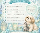 アニマルオラクルでわが子の気持ちを読み解きます カードを使って愛するわが子からのメッセージをお伝えします イメージ6