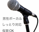 男性ボーカルが仮歌・歌入れします 落ち着いた男性声で丁寧に収録します イメージ1