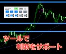 購入者様向け　オプションのみを追加購入できます ピンバー二重構造ロジック本編購入者専用 イメージ1